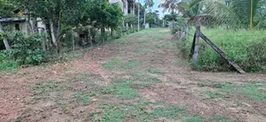Land for Sale in Pannipitiya, Palanwatta