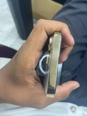 Apple iPhone 13 Pro (Used)