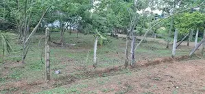 Land for Sale in Pannipitiya, Palanwatta