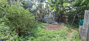 Land for Sale Boralesgamuwa 10th Mile Post