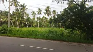 1 Acre Land for Sale in Wennapuwa