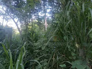 Land for Sale in Godagama, Homagama