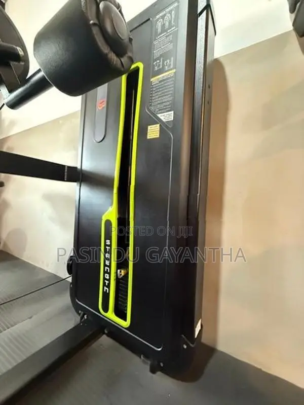 Seated Lateral Raise Machine