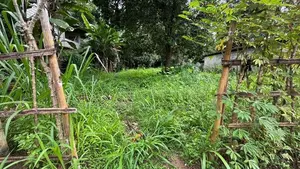 ගම්පොල වීගුලවත්තේ පර්චස් 24 ක ඉඩමක් විකිණීමට