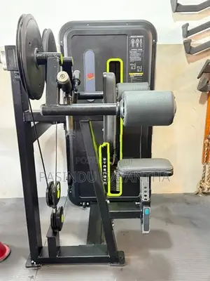 Seated Lateral Raise Machine