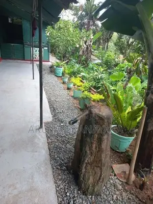 බණ්ඩාරවෙල සෙන්තෝමස් හන්දිය ආසන්නයේ නිවසක් විකිණීමට