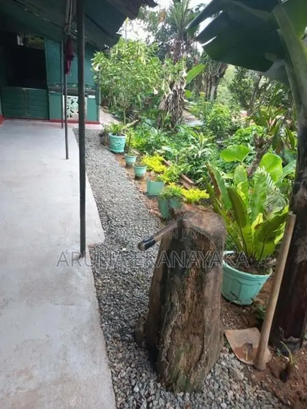 බණ්ඩාරවෙල සෙන්තෝමස් හන්දිය ආසන්නයේ නිවසක් විකිණීමට