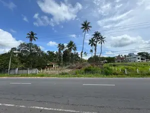 Prime Residential Land for Sale in Pallewela