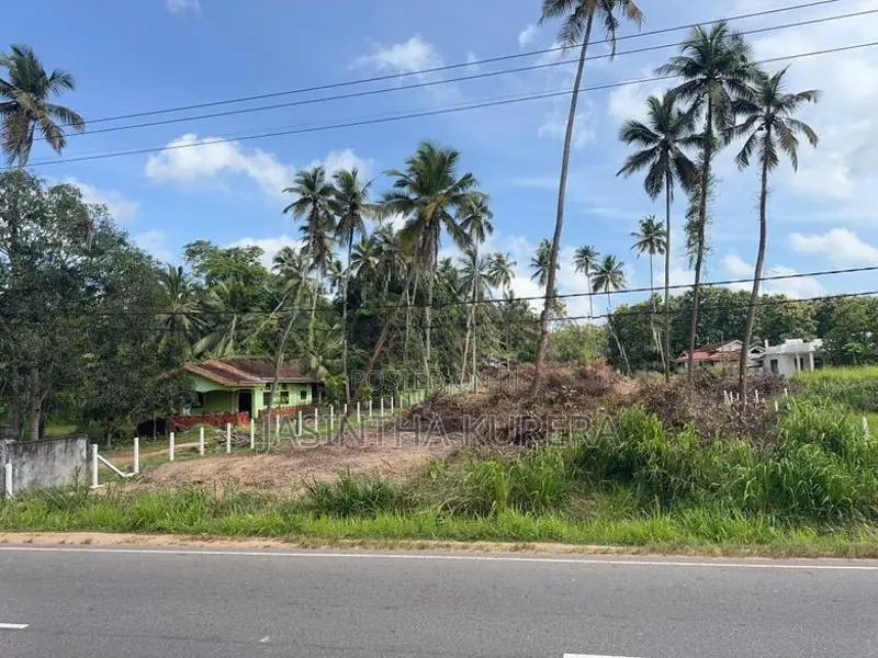 Prime Residential Land for Sale in Pallewela