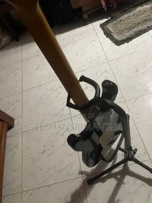 Electric Guitar
