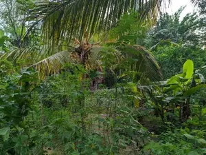 100 Perch Prime Land with House for Sale Monaragala