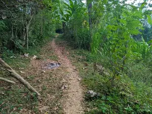 100 Perch Prime Land with House for Sale Monaragala