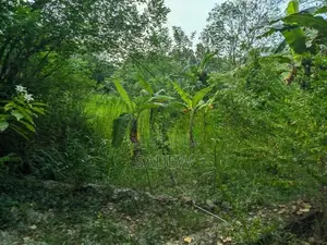 100 Perch Prime Land with House for Sale Monaragala
