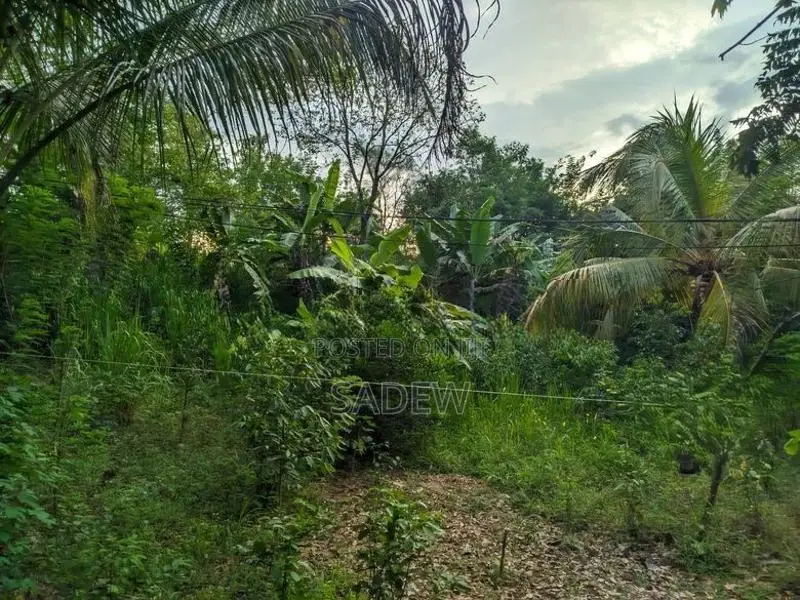 100 Perch Prime Land with House for Sale Monaragala