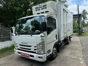 Isuzu Elf Freezer Truck 2020