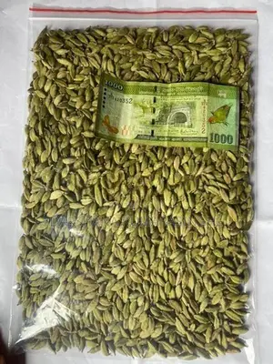 Green Cardamom
