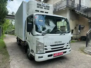 Isuzu Elf Freezer Truck 2020