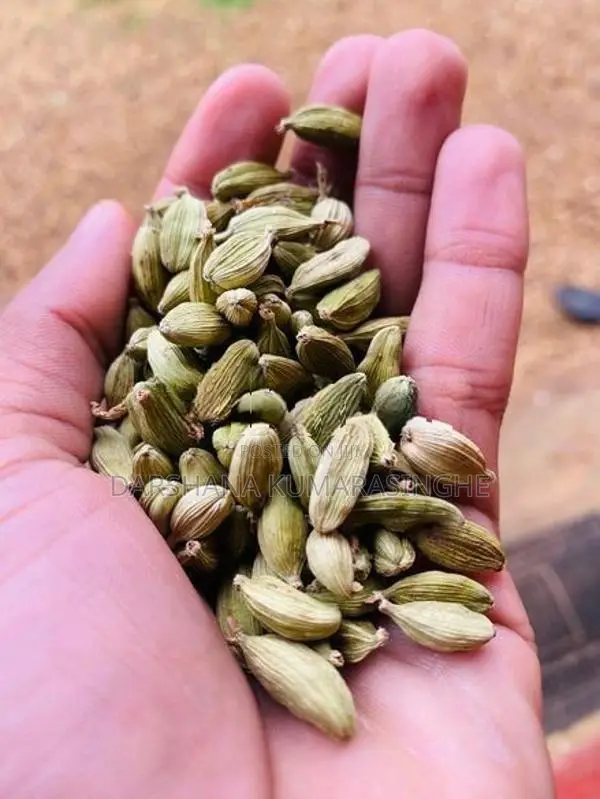 Green Cardamom