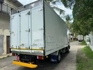 Isuzu Elf Freezer Truck 2020