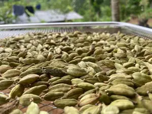 Green Cardamom