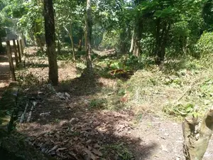 Land for Sale Panadura City - ( UC limit)