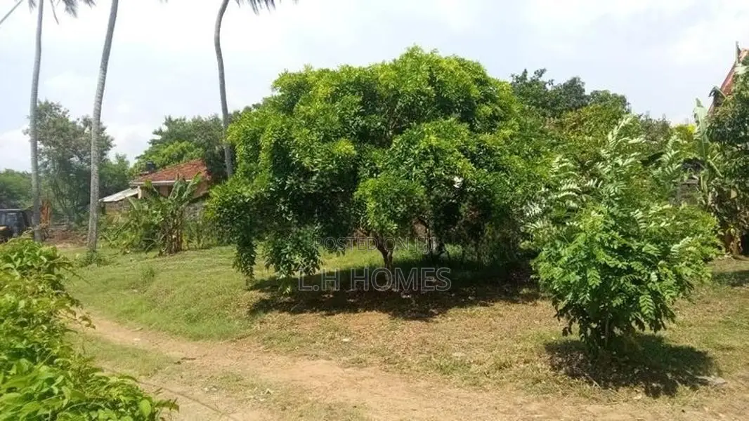 15 Perches Land For Sale In Wennappuwa EL001