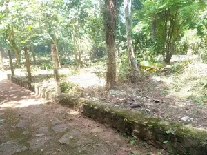 Land for Sale Panadura City - ( UC limit)