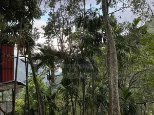 Land for Sale in Ella