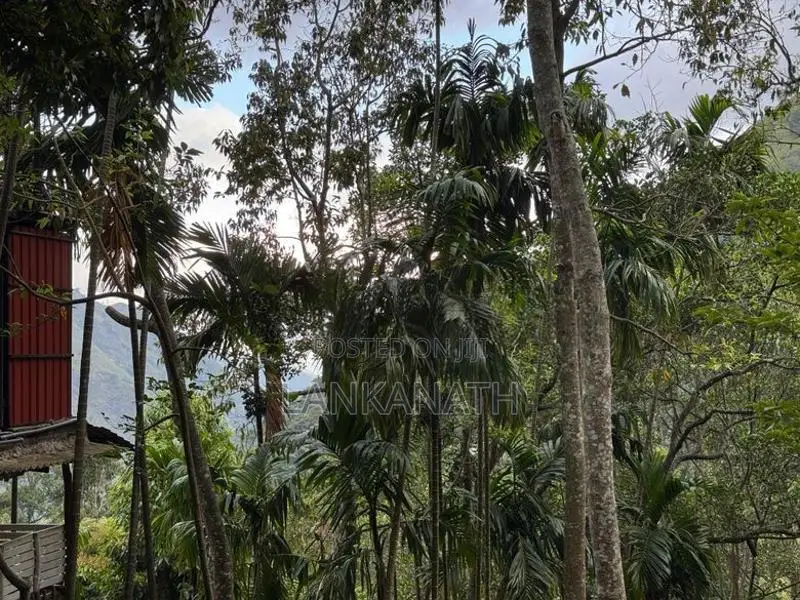 Land for Sale in Ella