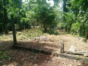 Land for Sale Panadura City - ( UC limit)