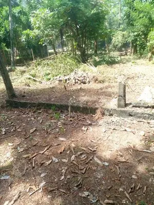 Land for Sale Panadura City - ( UC limit)