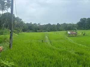 Land For Sale In Mawanella