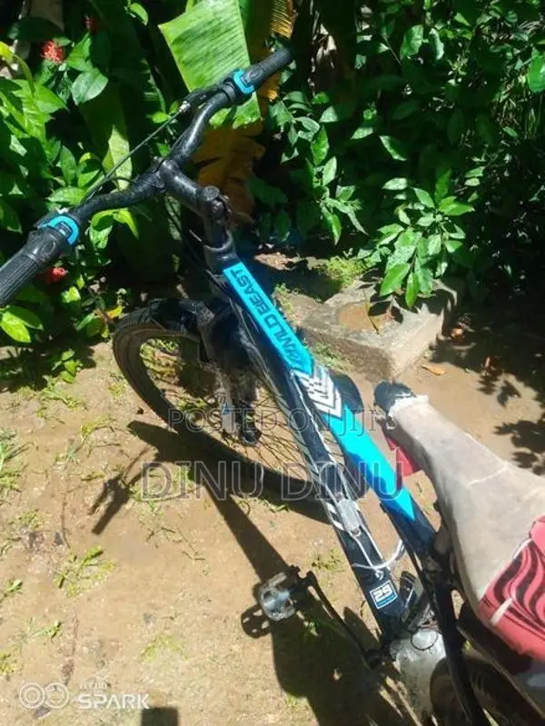 Lumala Bicycle