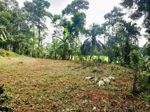 නිට්ටඹුව Land for Sale