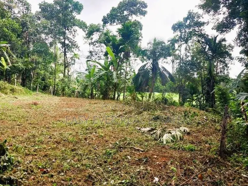 නිට්ටඹුව Land for Sale
