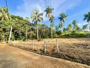 වේයන්ගොඩින් Land for Sale