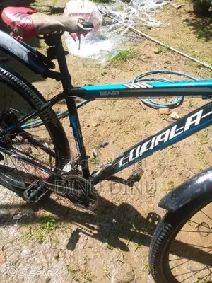 Lumala Bicycle