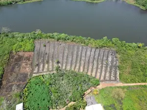 Panadura Land for Sale