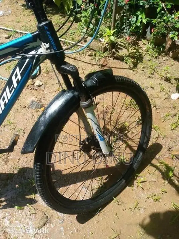 Lumala Bicycle