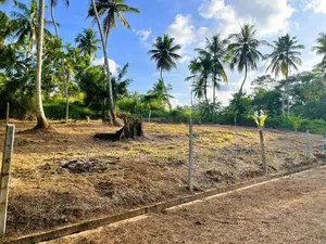 වේයන්ගොඩින් Land for Sale