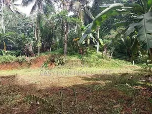 නිට්ටඹුව Land for Sale