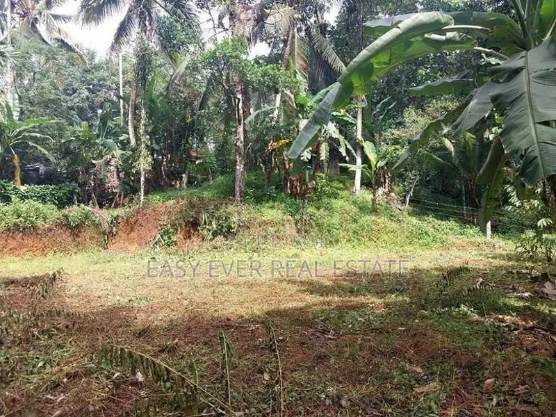 නිට්ටඹුව Land for Sale