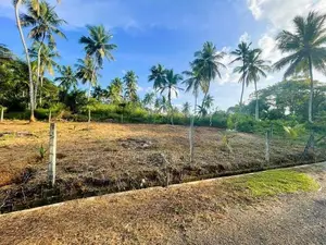 වේයන්ගොඩින් Land for Sale