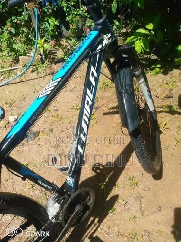 Lumala Bicycle