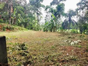 නිට්ටඹුව Land for Sale
