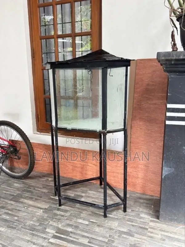 Fish Tank