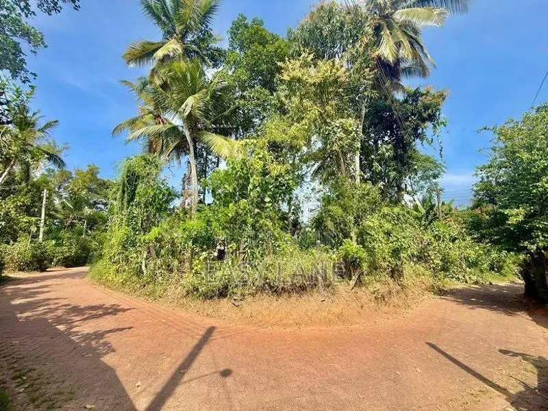 Kalagedihena Land for Sale