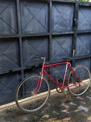 Sturdy Gents Bicycle