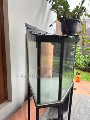 Fish Tank