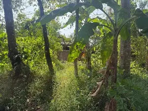 Kalagedihena Land for Sale